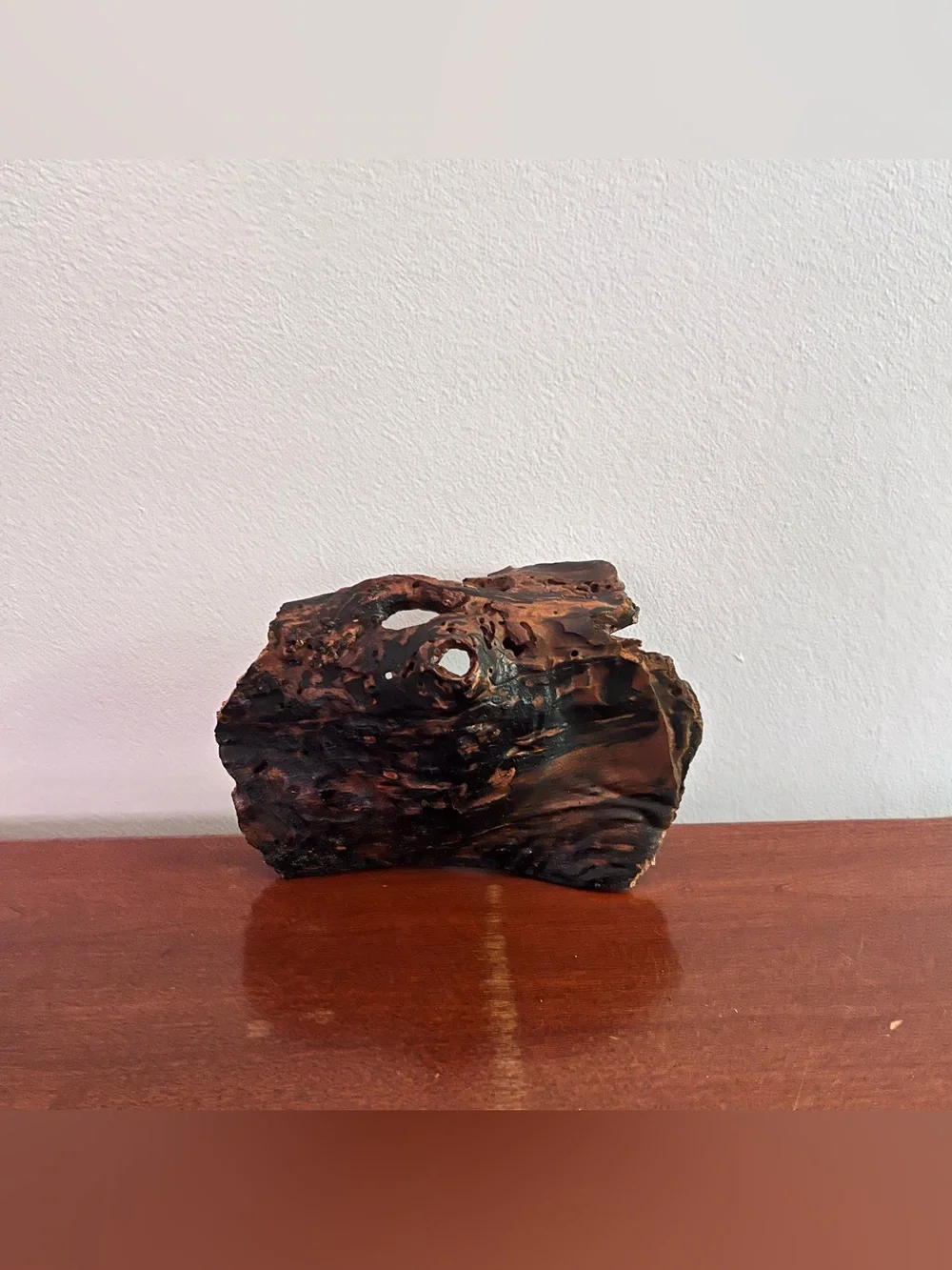 Natural Driftwood Hide for Reptile & Invertebrate Terrariums